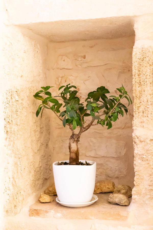 Vincent Suite Luxury B&B Palo del Colle Esterno foto
